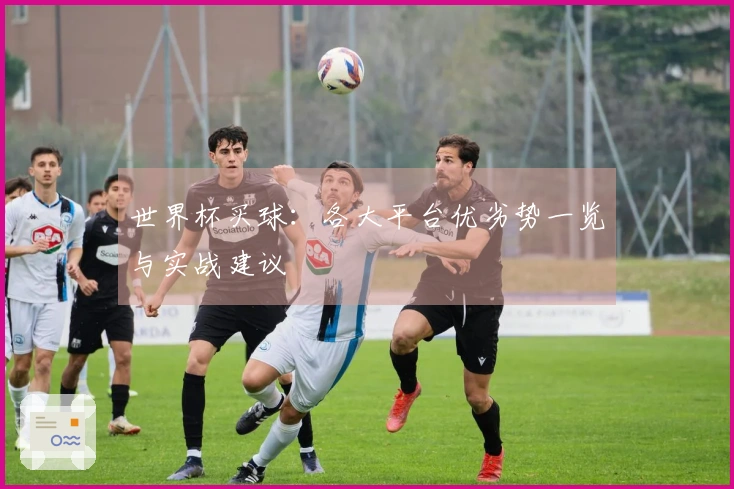 世界杯买球：各大平台优劣势一览与实战建议