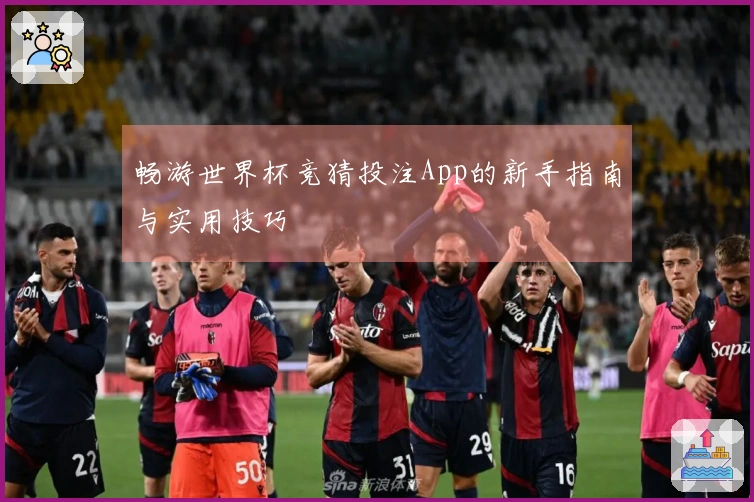 畅游世界杯竞猜投注App的新手指南与实用技巧