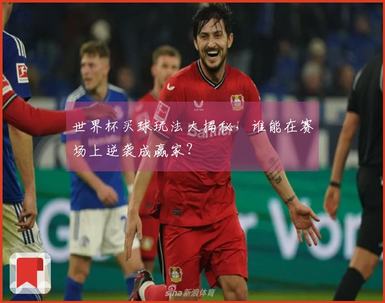 世界杯买球玩法大揭秘，谁能在赛场上逆袭成赢家？