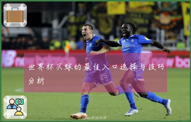 世界杯买球的最佳入口选择与技巧分析