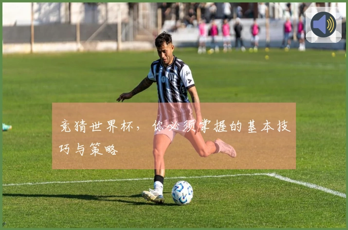 竞猜世界杯，你必须掌握的基本技巧与策略
