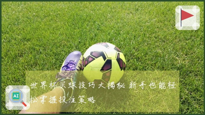 世界杯买球技巧大揭秘 新手也能轻松掌握投注策略