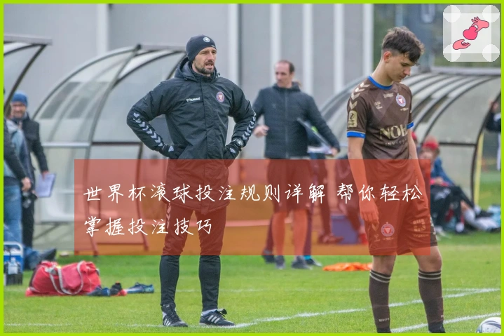 世界杯滚球投注规则详解 帮你轻松掌握投注技巧