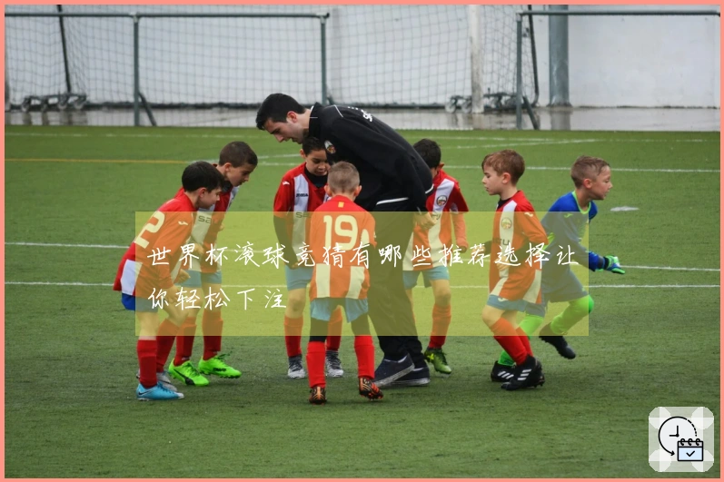 世界杯滚球竞猜有哪些推荐选择让你轻松下注