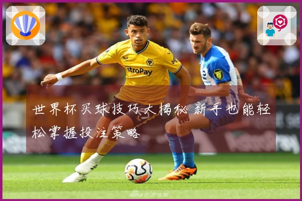 世界杯买球技巧大揭秘 新手也能轻松掌握投注策略