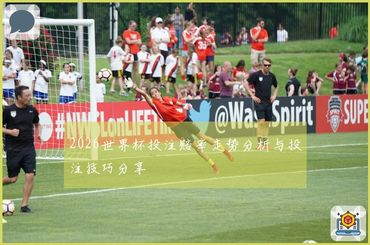 2026世界杯投注赔率走势分析与投注技巧分享