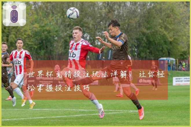 世界杯竞猜投注玩法详解，让你轻松掌握投注技巧