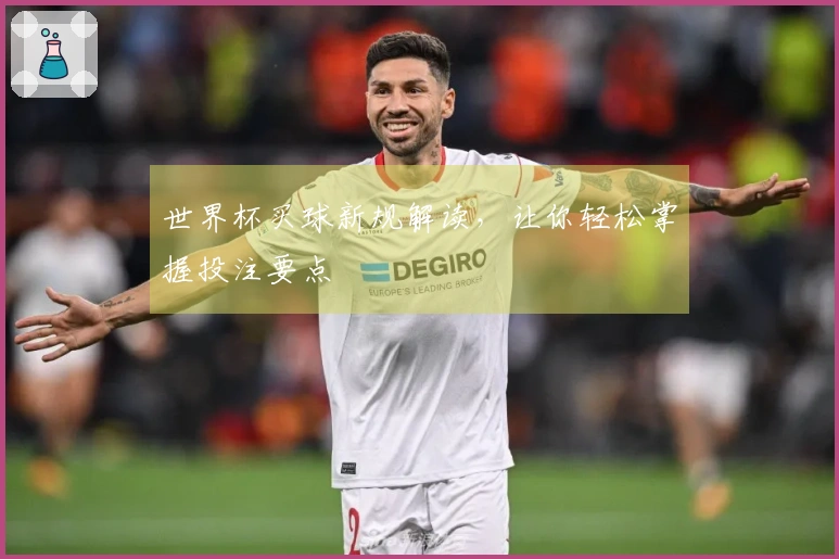 世界杯买球新规解读，让你轻松掌握投注要点