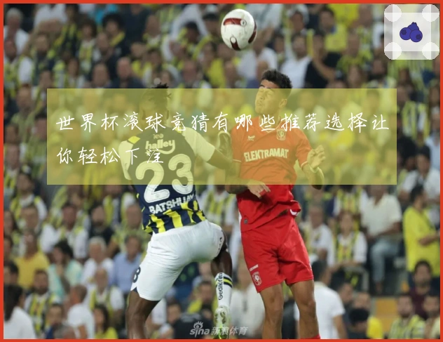 世界杯滚球竞猜有哪些推荐选择让你轻松下注