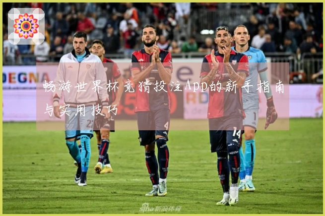 畅游世界杯竞猜投注App的新手指南与实用技巧