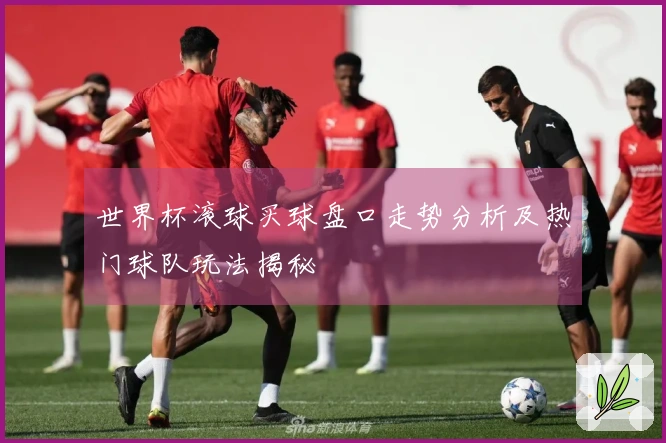 世界杯滚球买球盘口走势分析及热门球队玩法揭秘