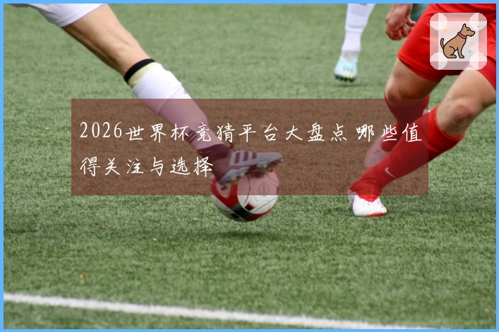 2026世界杯竞猜平台大盘点 哪些值得关注与选择